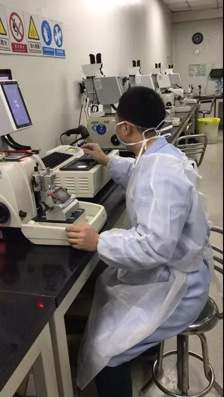 1618628602643741.png 華西.png