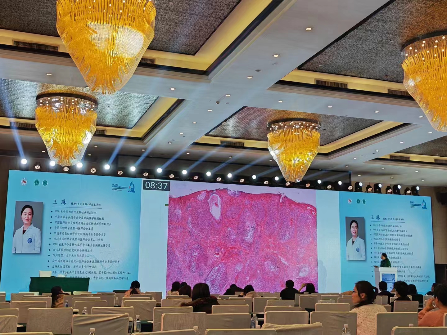 1678497495130648.jpg fa0aa5626cd07f8738937f3bb8d8d8e.jpg