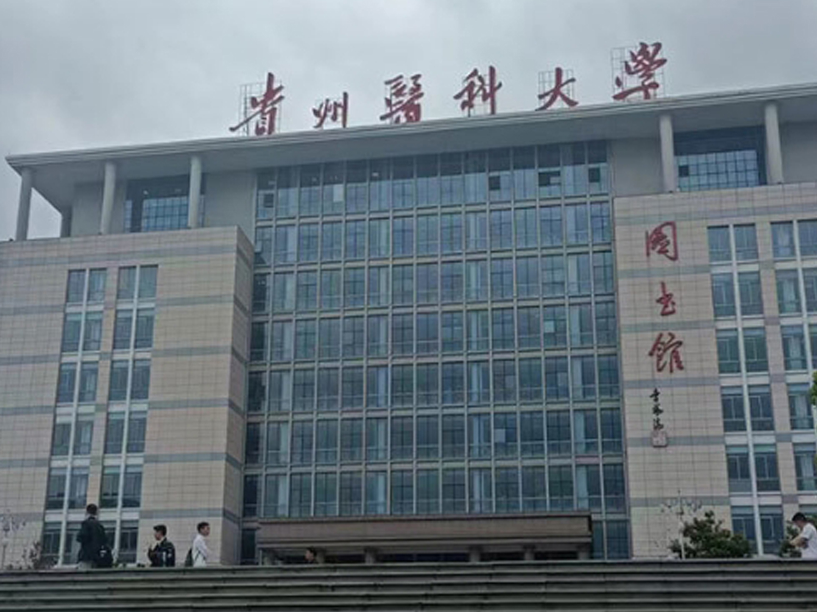 1729135010481814.jpg 1729134537735647.jpg